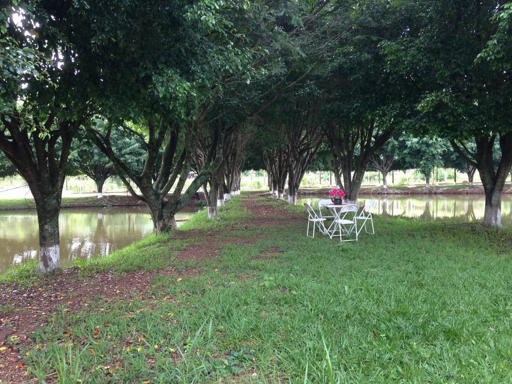 Pousada Recanto Das Aves Hotel Socorro  Exterior photo